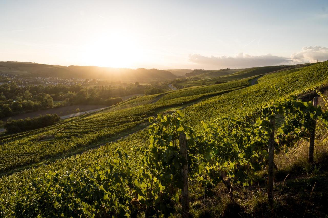 Weingut Und Gastehaus Holger Alt Hotell Monzingen Exteriör bild