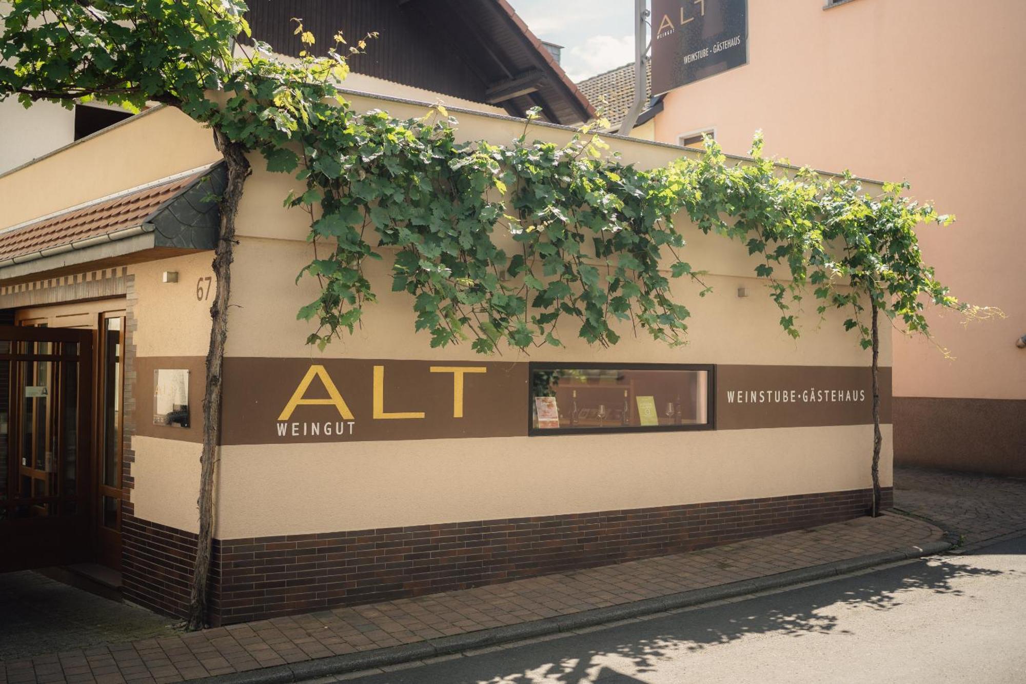 Weingut Und Gaestehaus Holger Alt Monzingen Exteriör bild