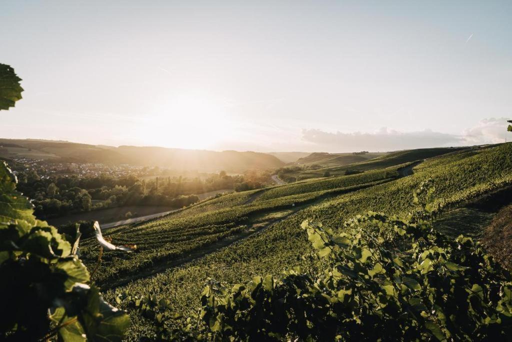 Weingut Und Gaestehaus Holger Alt Monzingen Exteriör bild