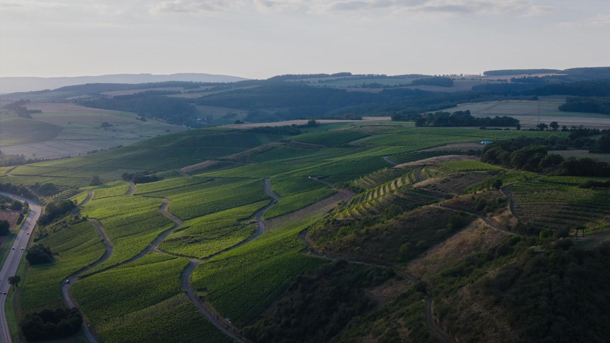 Weingut Und Gaestehaus Holger Alt Monzingen Exteriör bild