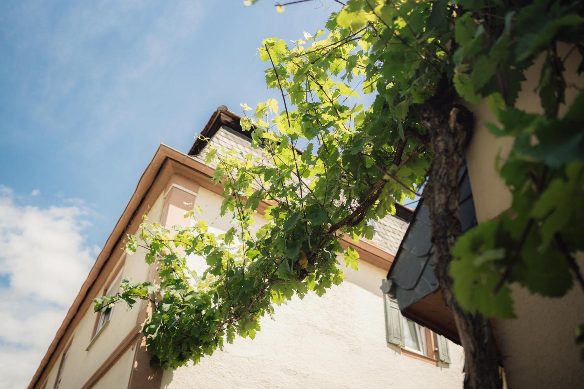 Weingut Und Gaestehaus Holger Alt Monzingen Exteriör bild
